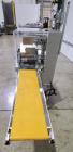 Buy Used Nielsen Baby Flex Chocolate Enrobing Machine